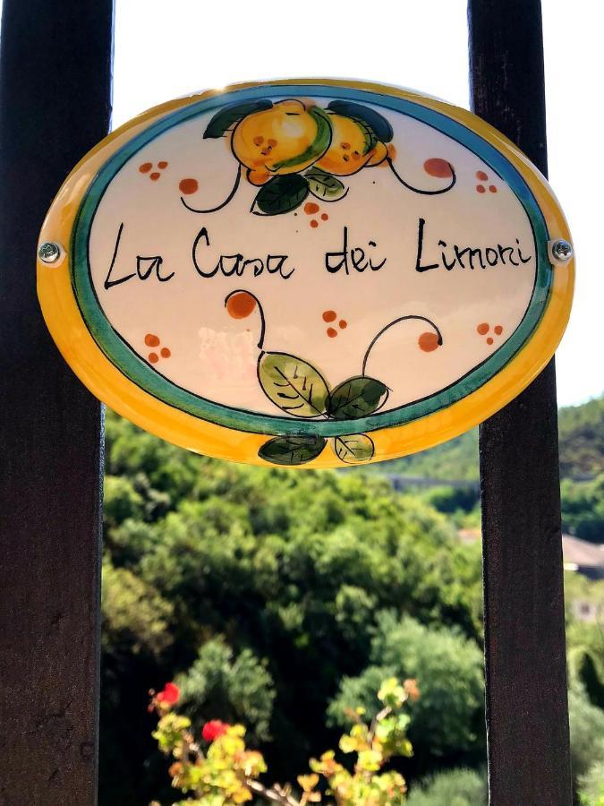 Apartament La Casa Dei Limoni Casarza Ligure Zewnętrze zdjęcie
